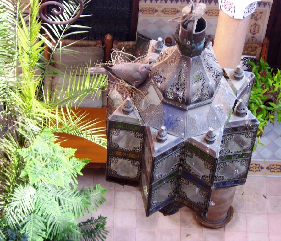 Dar Malaika Hotel Marrakesh Eksteriør billede